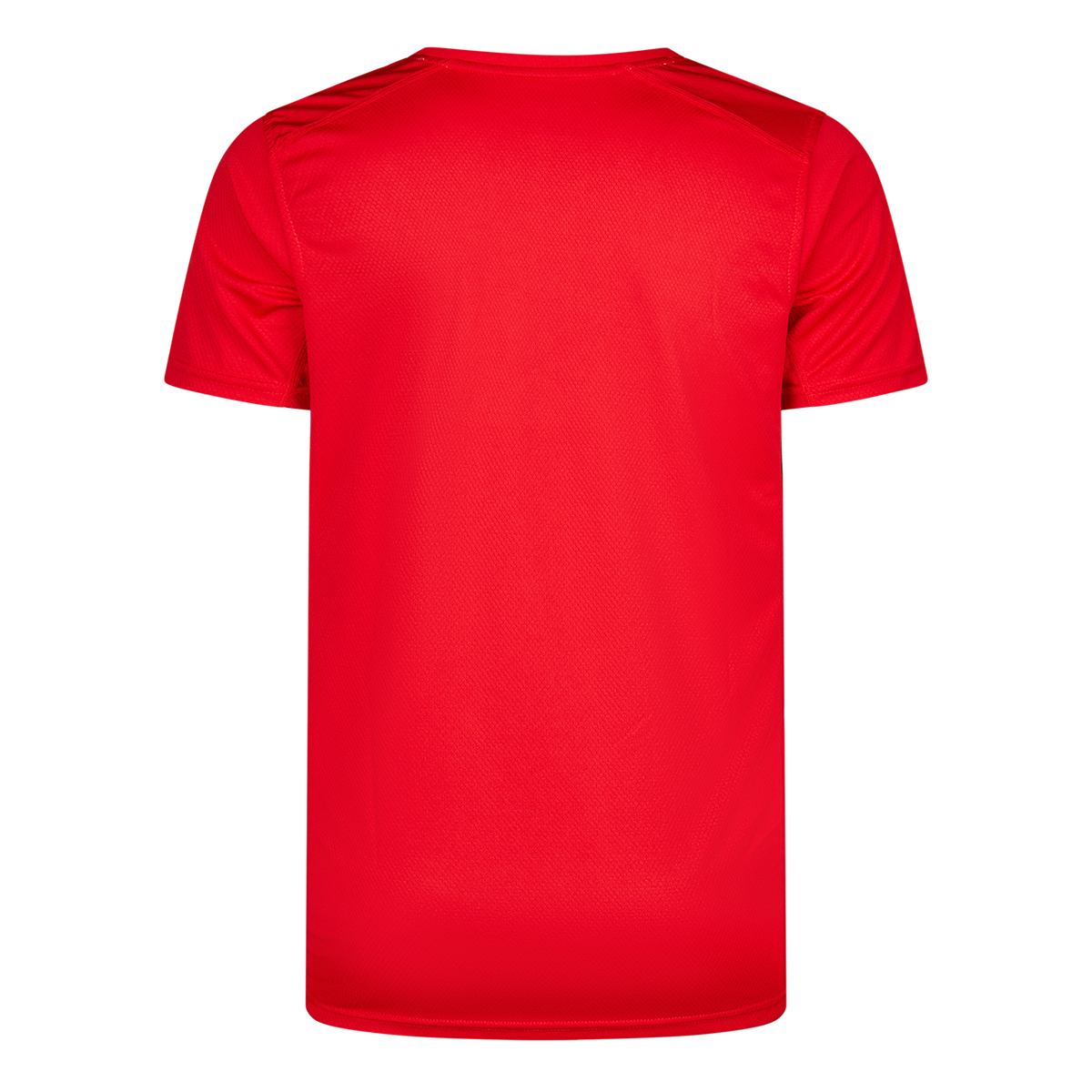 KOOPERATIONSSHIRT TSVB x DHC – Bild 2